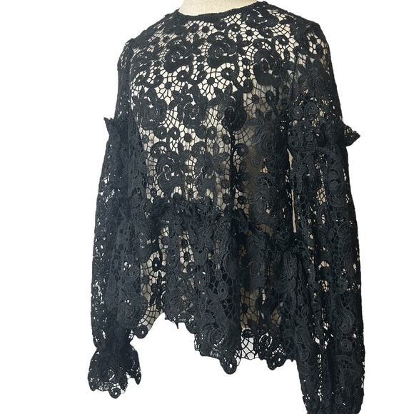 H&M Black Embroidered Lace Ruffle Long Balloon Sleeve Sheer Blouse Women Size 6 - Picture 8 of 16